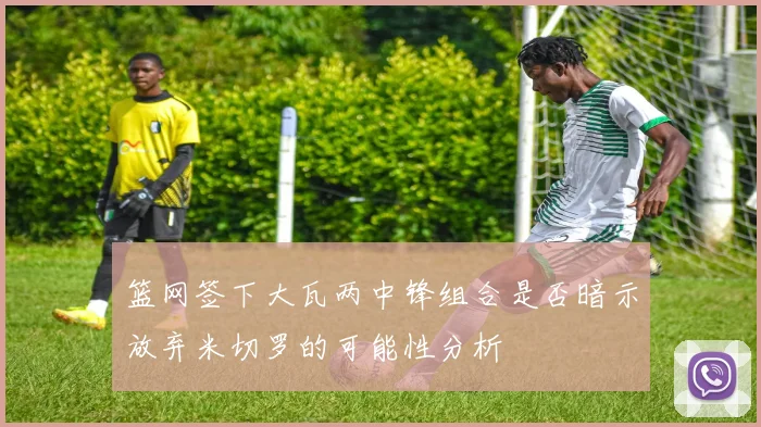 篮网签下大瓦两中锋组合是否暗示放弃米切罗的可能性分析