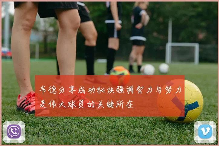 韦德分享成功秘诀强调智力与努力是伟大球员的关键所在